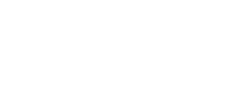 DIGITAL VORN